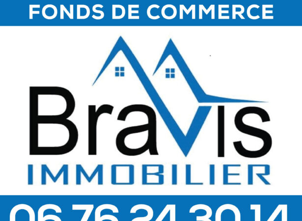 Bravis immobilier