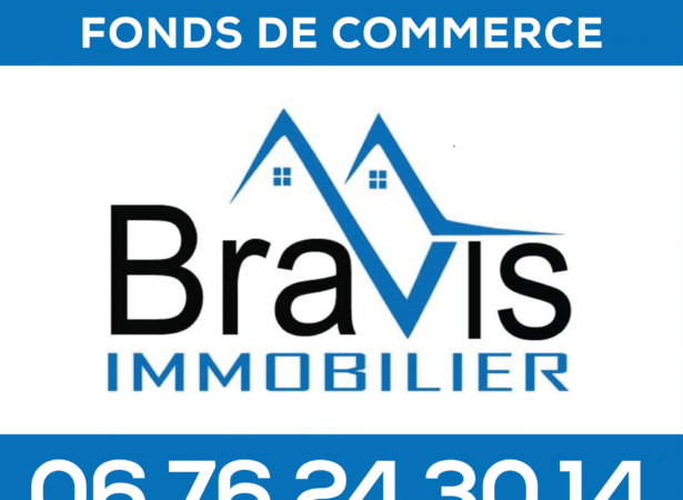 Bravis immobilier