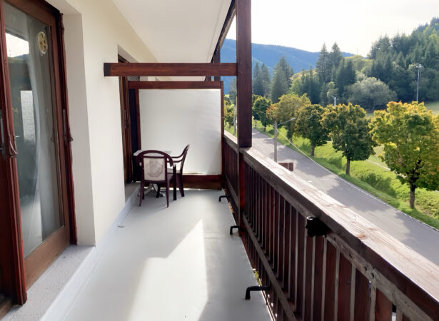 Bravis immobilier
