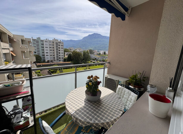 Bravis immobilier
