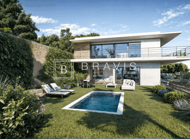 Bravis immobilier