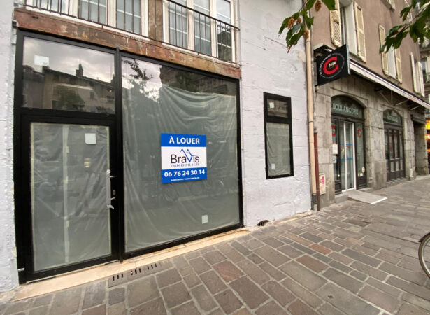 Bravis immobilier