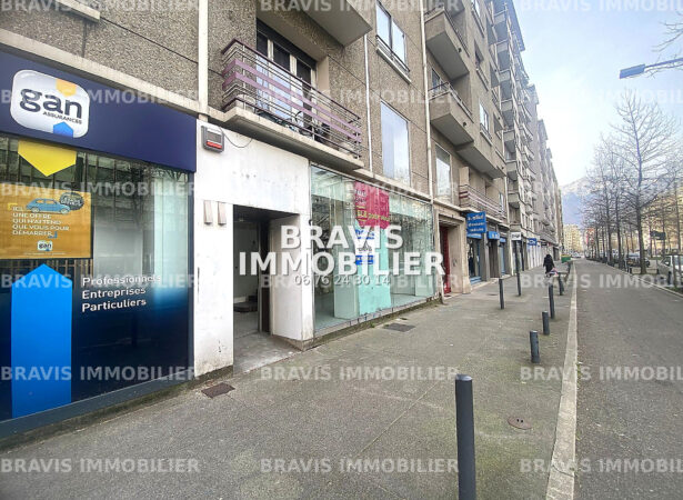 Bravis immobilier