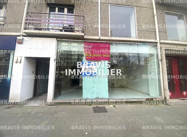 Bravis immobilier